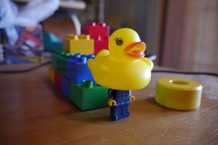 P1180882-Philippa-Nielsen-Better-Homes